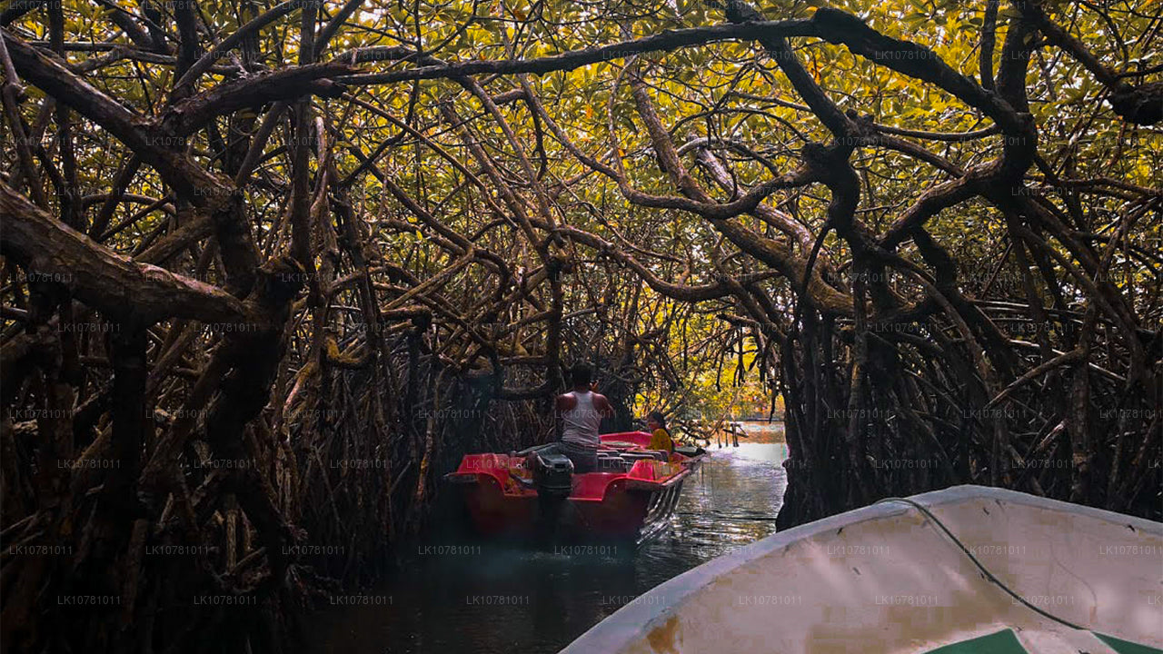 Golden Coast of the South (7 Days)