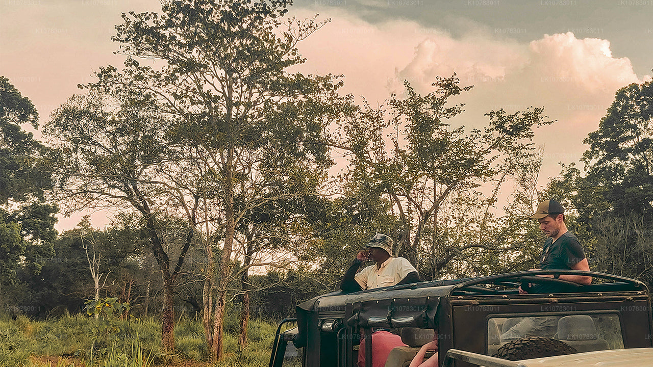 The Big 5 in Southern Coast Season (7 Days)