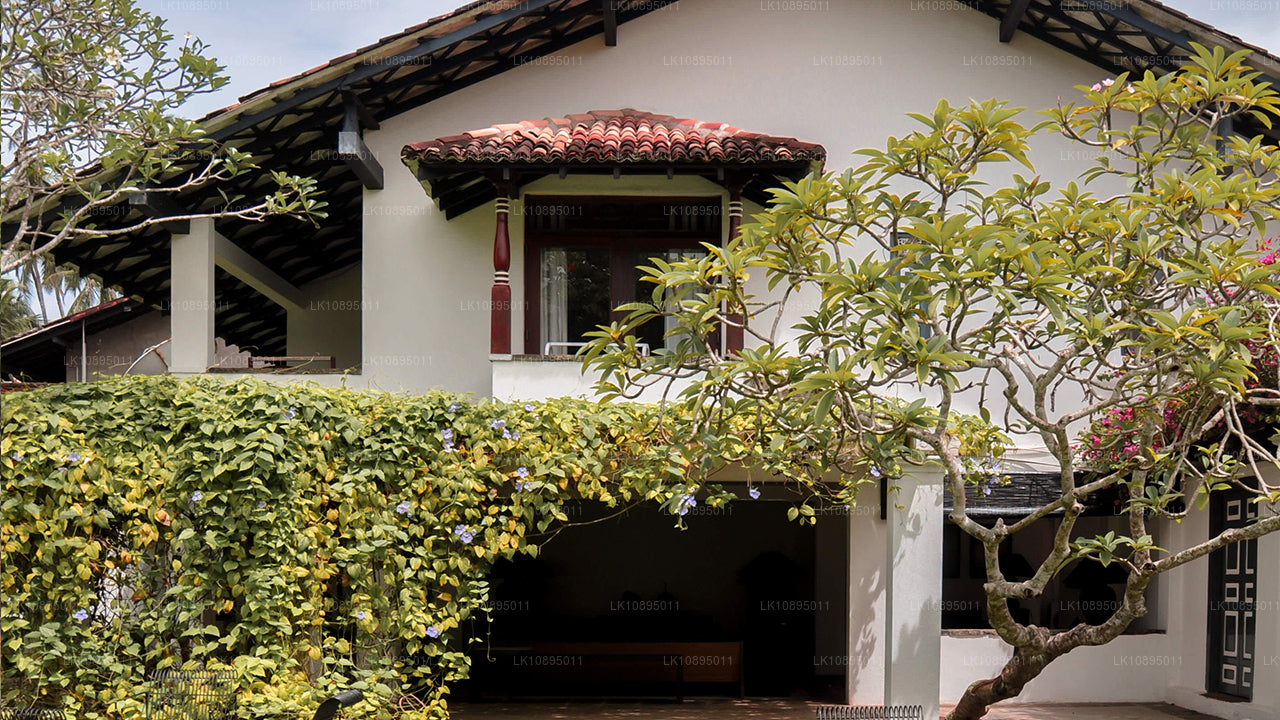 Geoffrey Bawa Impressions (8 Days)