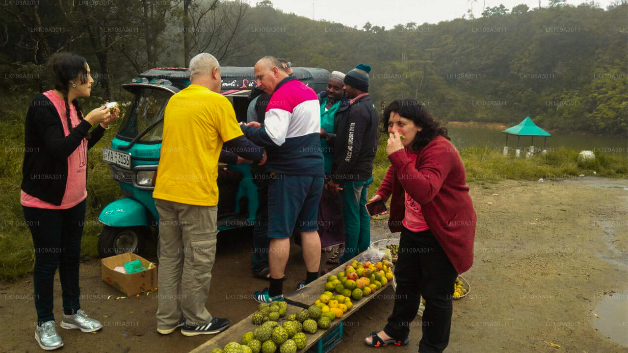 Chill Out Sri Lanka (9 Days)