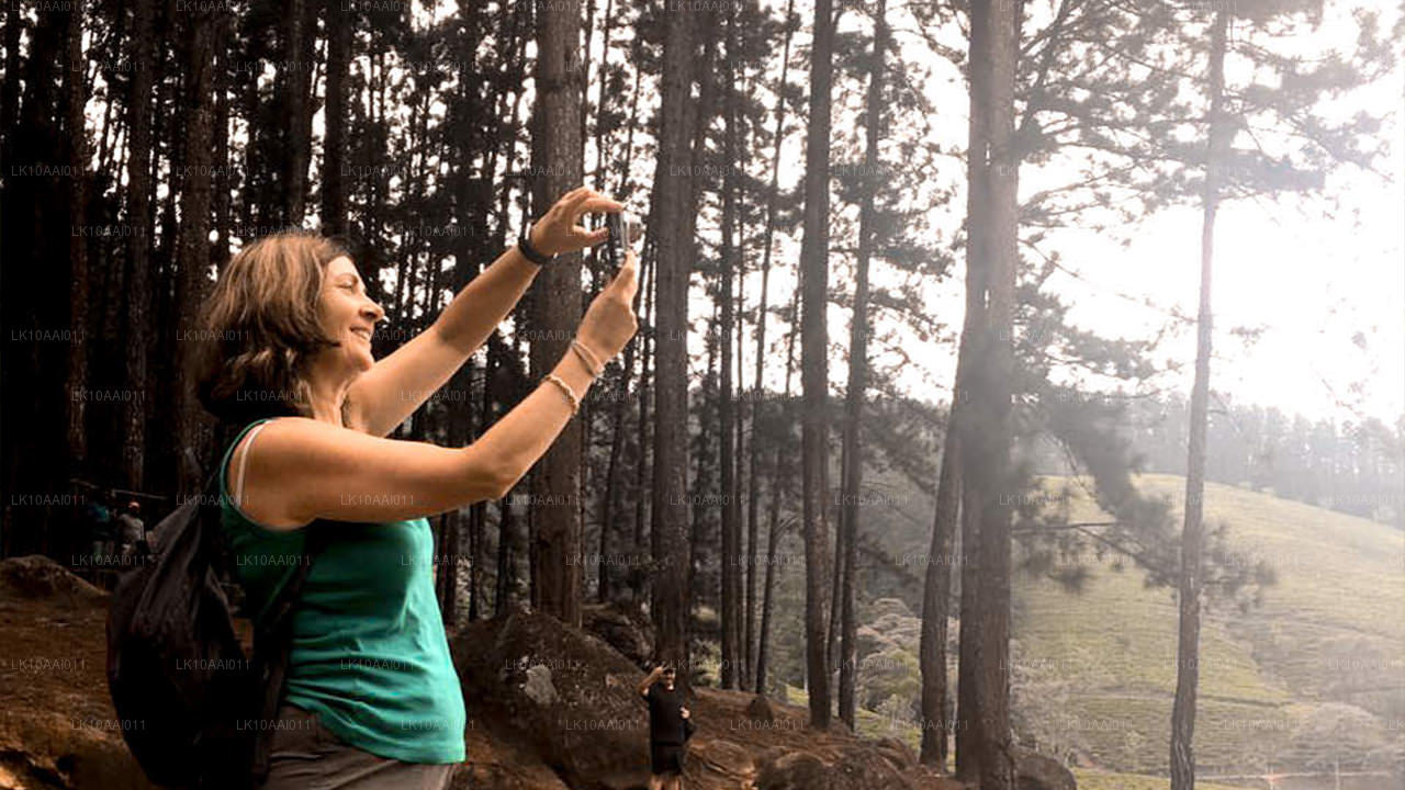 Sri Lanka Halal (Islamic) Tour (10 Days)