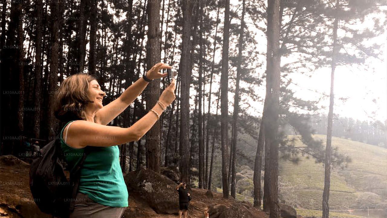 Ceylon Tea Tour (10 Days)