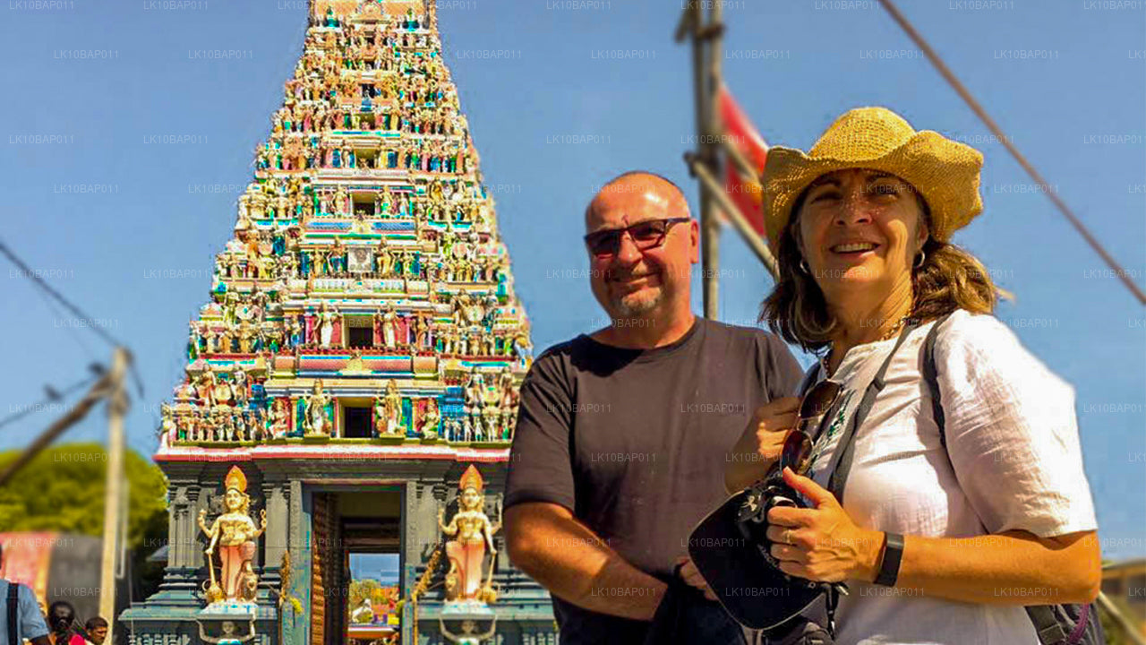 Discovering Sanctuary (11 Days)