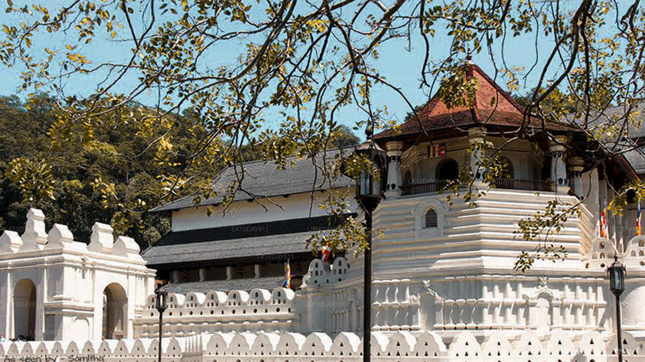 Buddhist Pilgrimage Tour (13 Days)