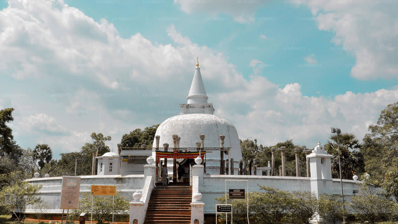 Spiritual Freedom (14 Days)