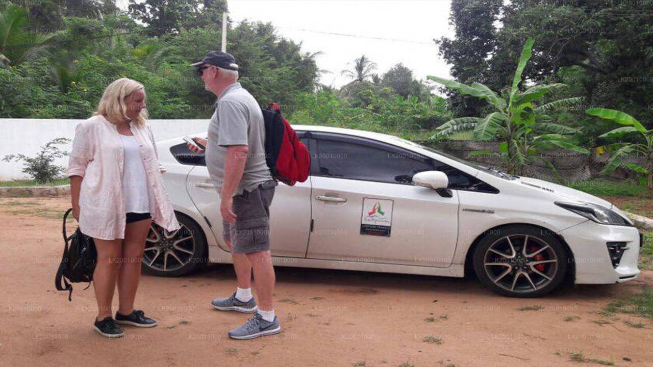 Chauffeur Driven Standard Car Rental