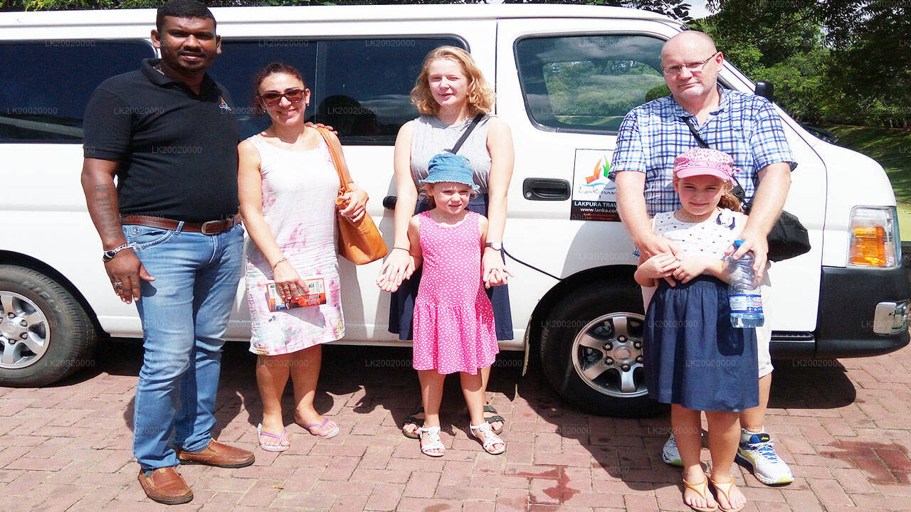 Chauffeur Driven Standard Van Rental