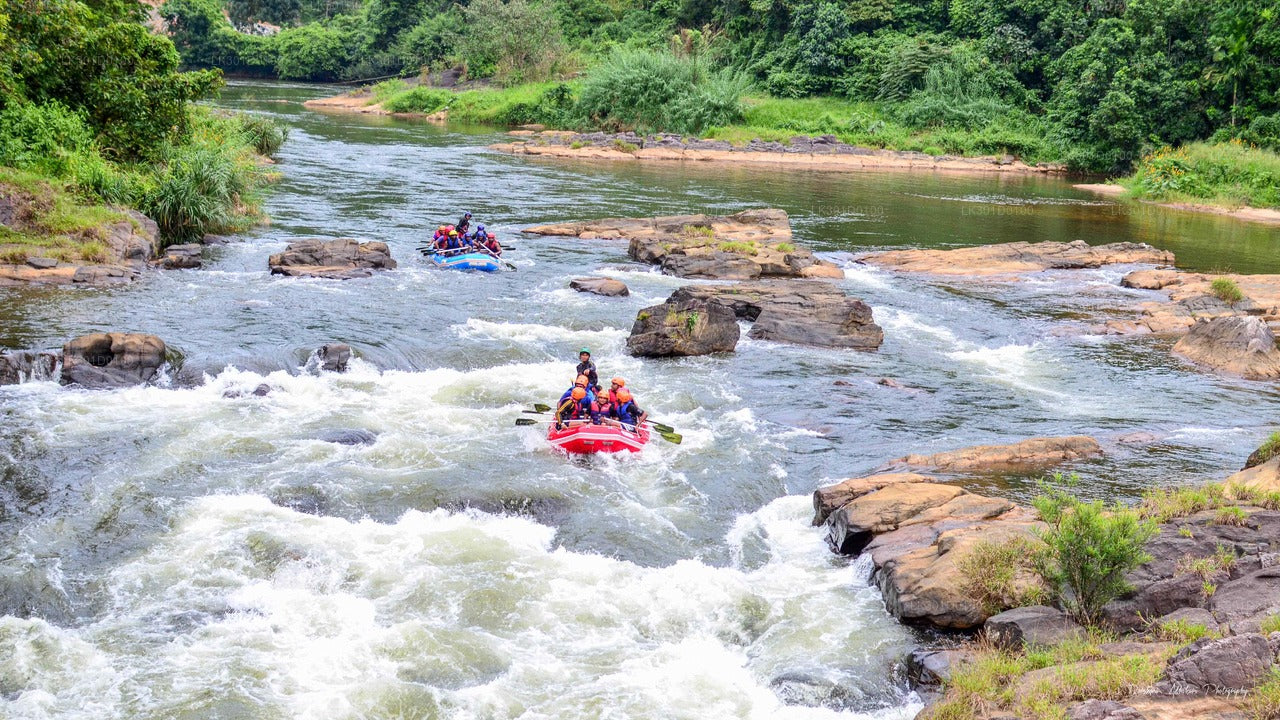 White Water Rafting from Kitulgala