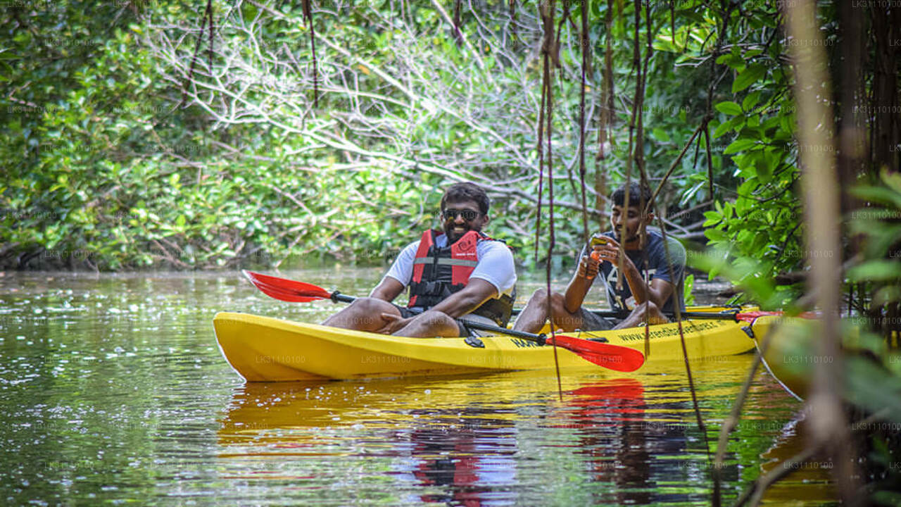 Kayaking at Rathgama Lake from Hikkaduwa