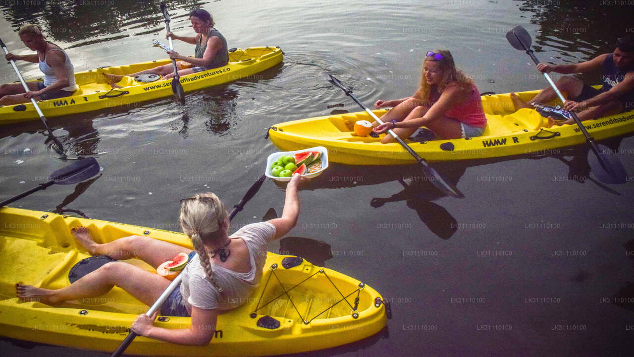 Kayaking at Rathgama Lake from Hikkaduwa