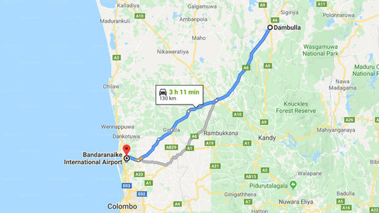 Dambulla City to Colombo Airport (CMB) Private Transfer