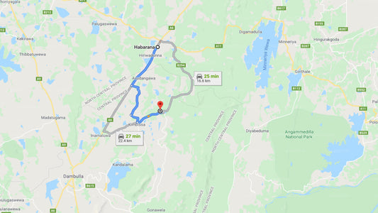 Habarana City to Sigiriya City Private Transfer