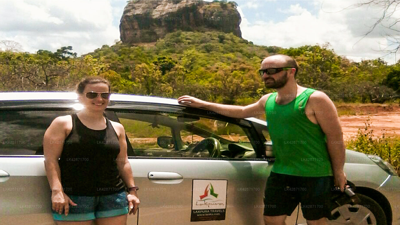 Yala City to Colombo City Private Transfer