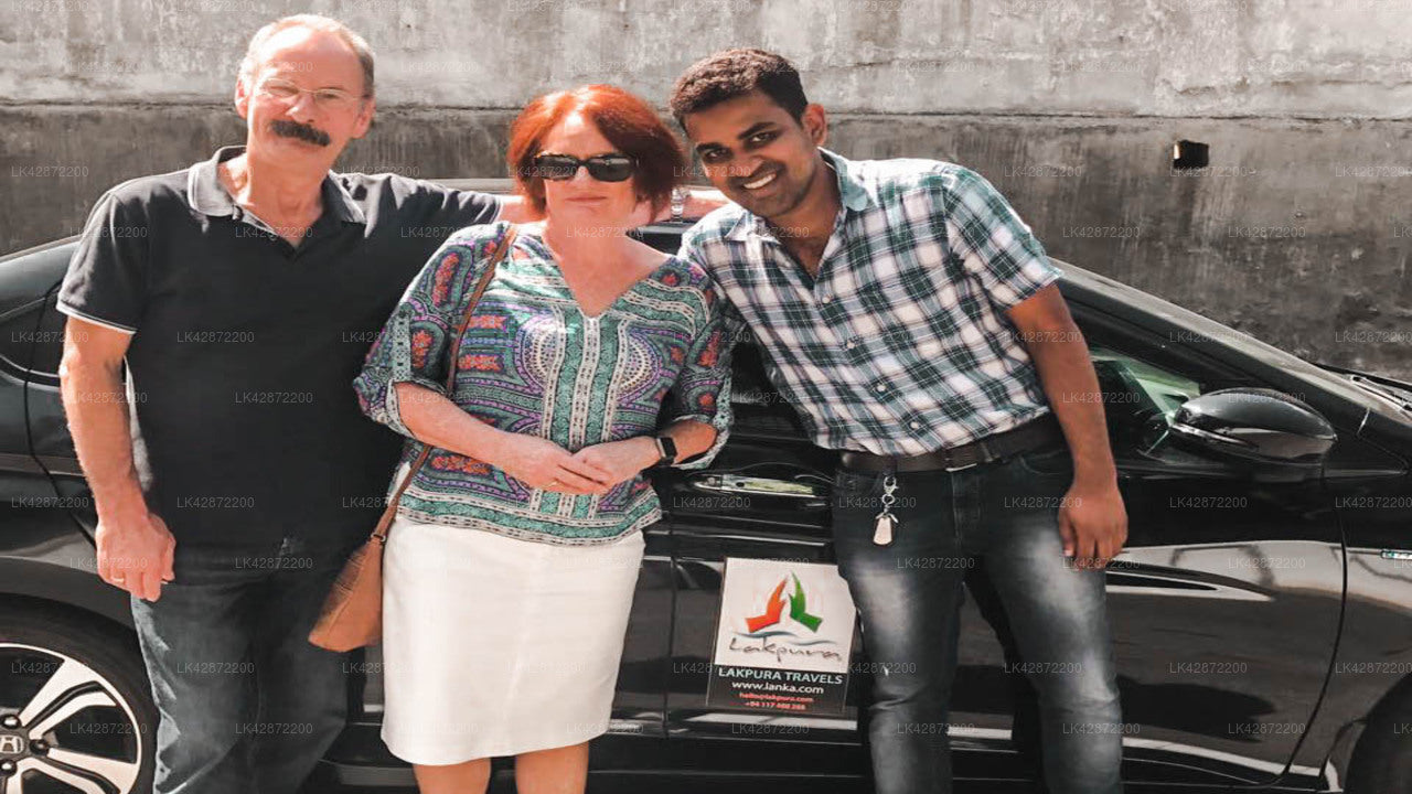 Yala City to Ella City Private Transfer