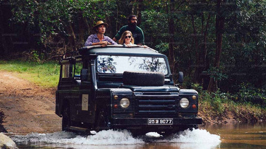 A group of people on a safari in a Jeep, with a naturalist driving, in a forest and wetland environment.