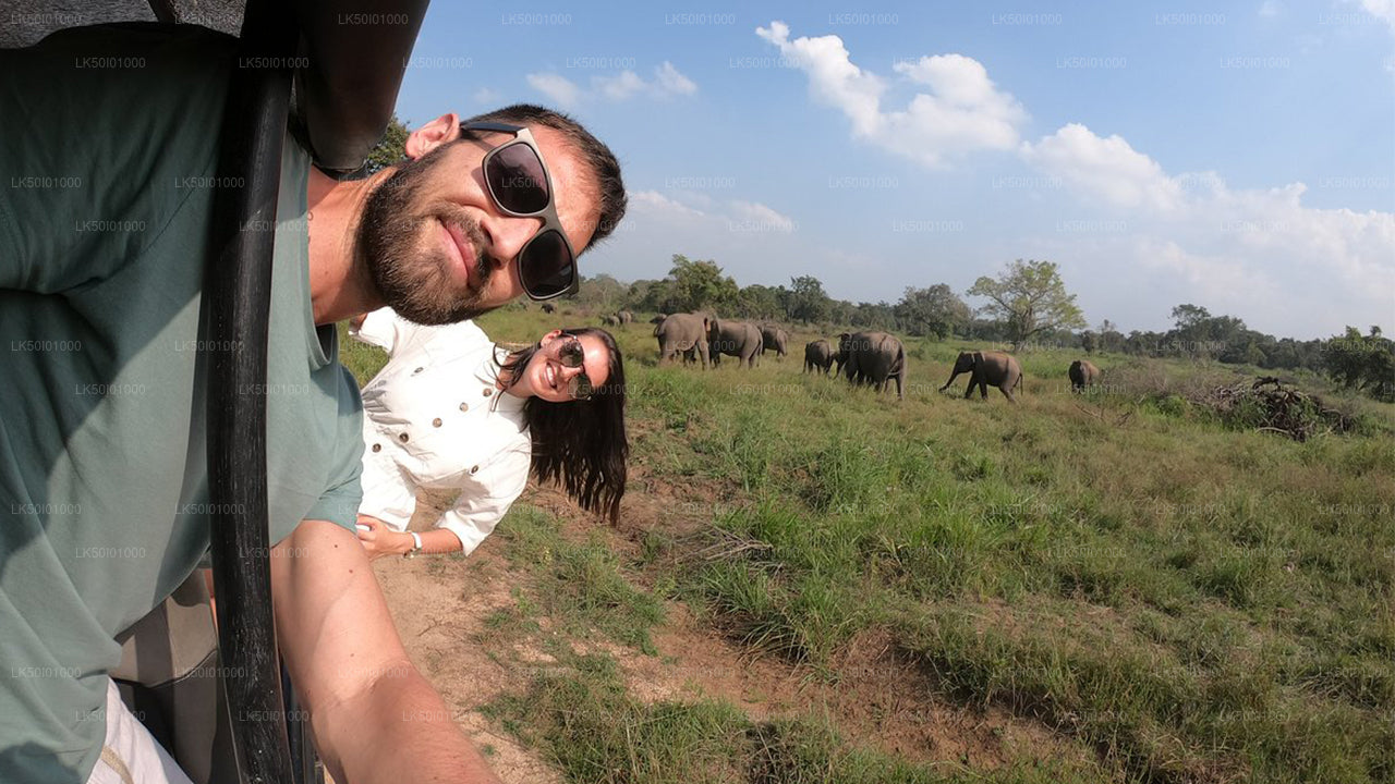 Wasgamuwa National Park Private Safari