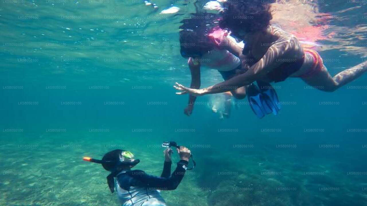Snorkeling from Negombo