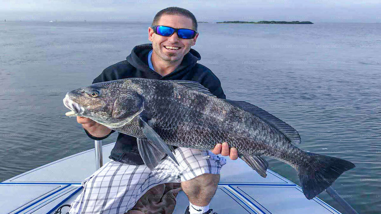 Lagoon Fishing from Negombo