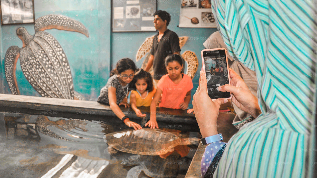 Handungoda, Galle and Kosgoda from Colombo