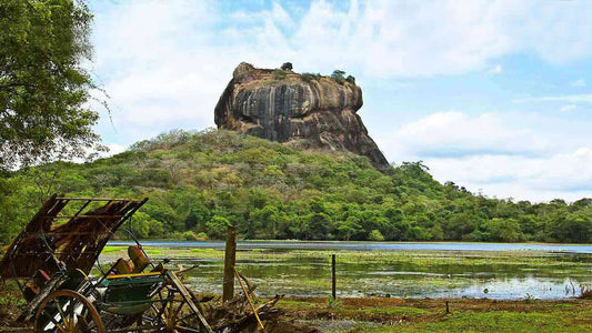 Sigiriya, Dambulla and Village Tour from Colombo
