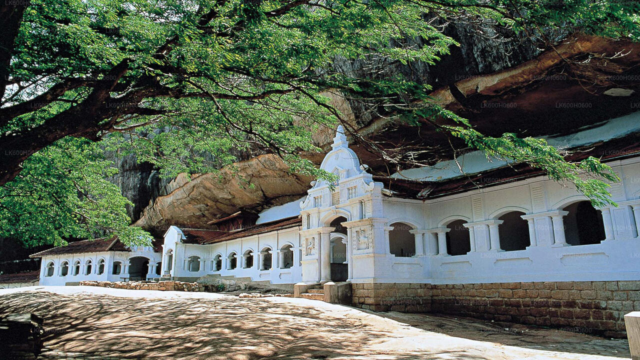 Sigiriya, Dambulla and Village Tour from Colombo