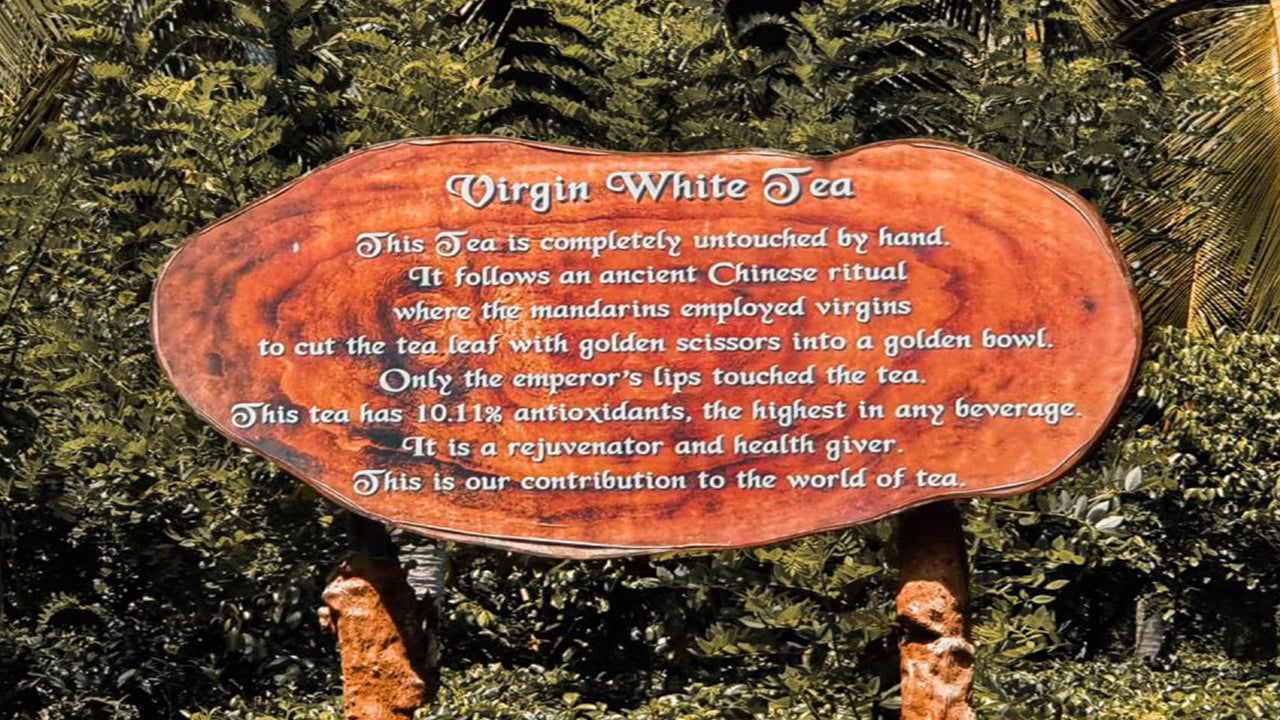 Balapitiya, Handunugoda and Galle from Bentota