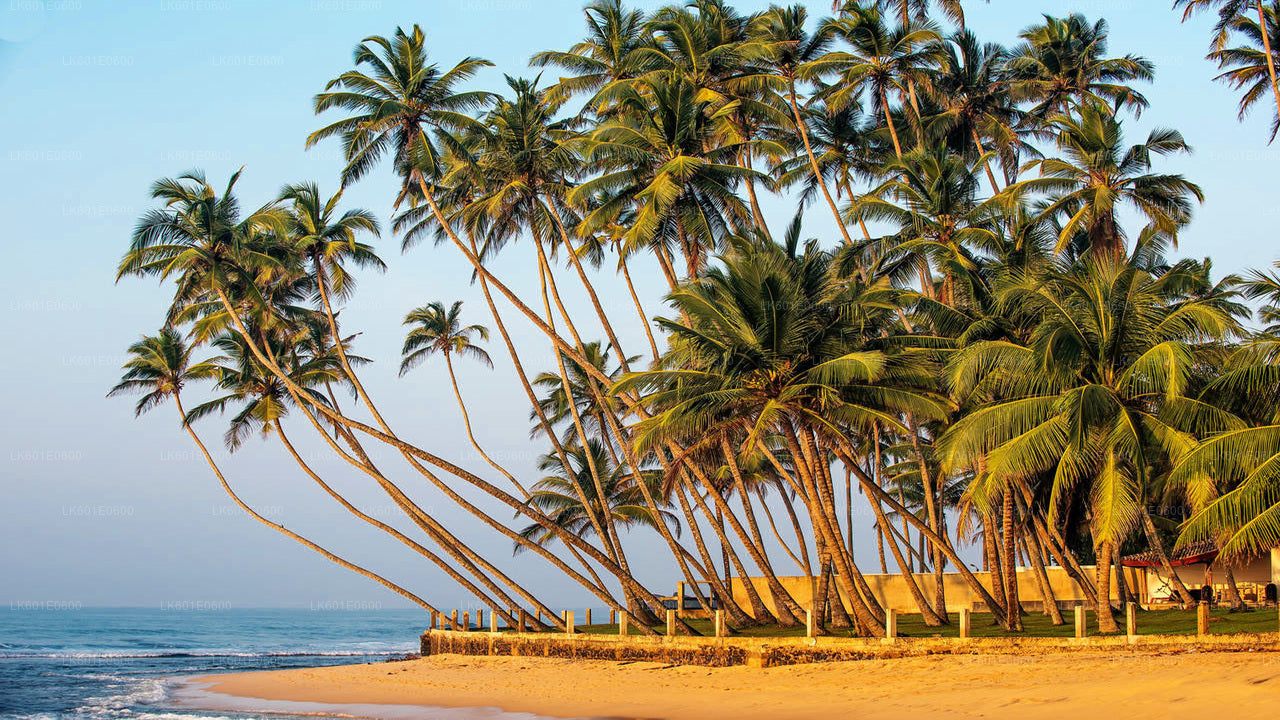 Hidden Temples and Secluded Coastline from Koggala