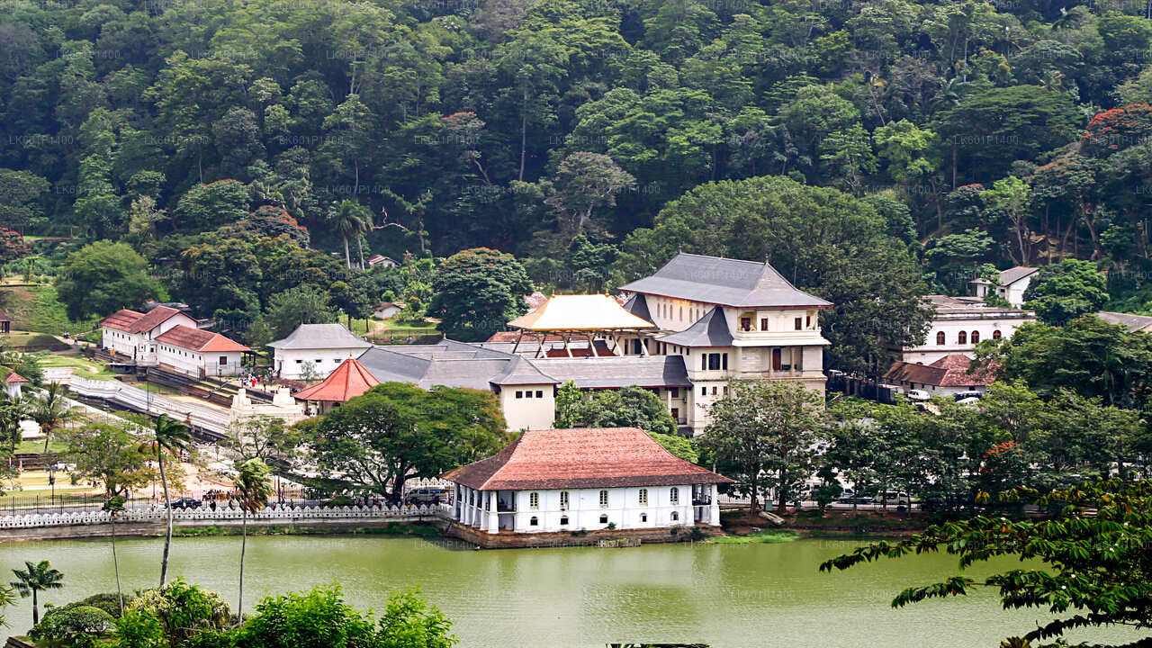 Kandy City Tour from Negombo