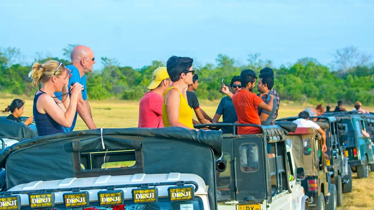 Bundala National Park Safari from Tangalle