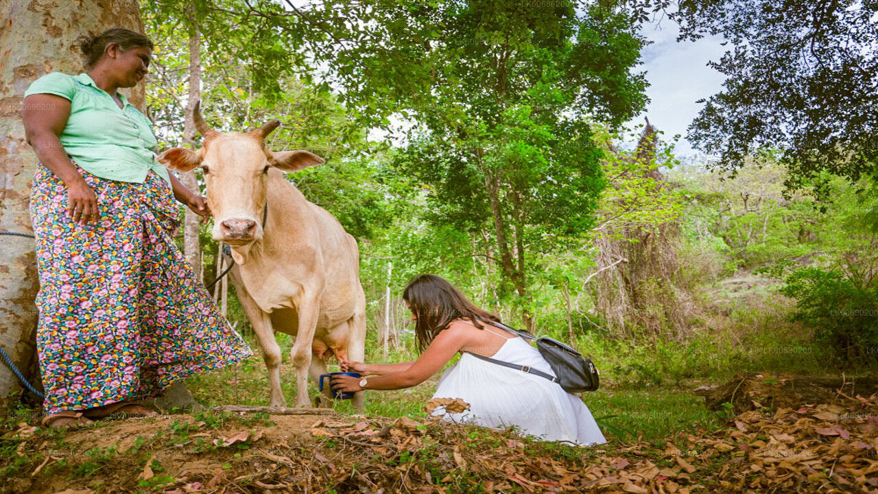 Village Experience by Sorobara Lake from Mahiyanganaya