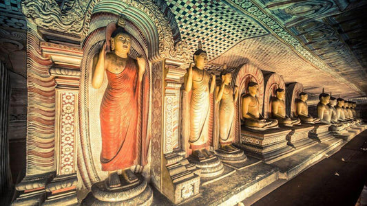 Visita guidata al tempio rupestre di Dambulla con biglietti