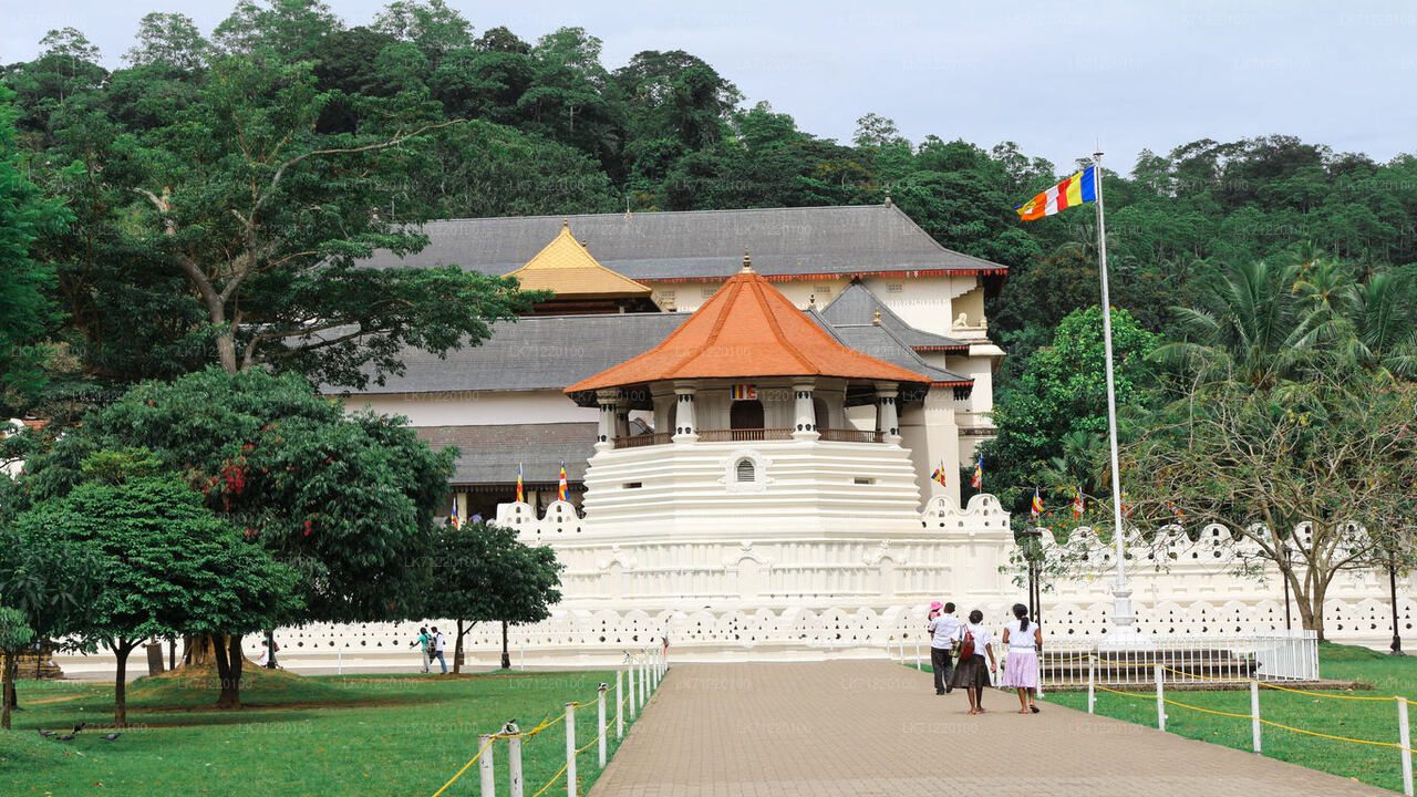Temple of The Sacred Tooth Relic Entrance Tickets