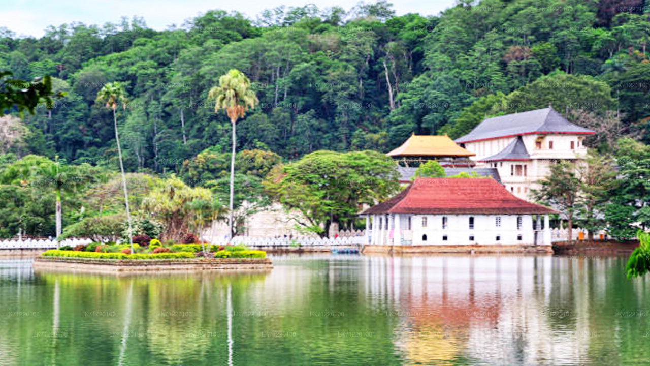 Kandy City Tour