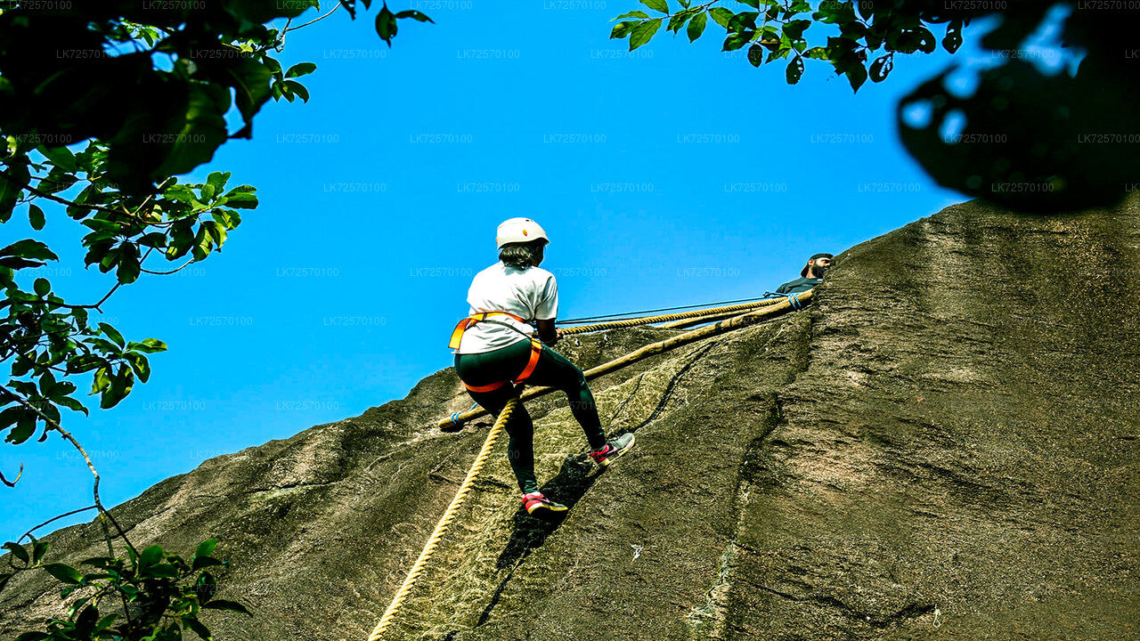 Forest Rock Climbing from Horana