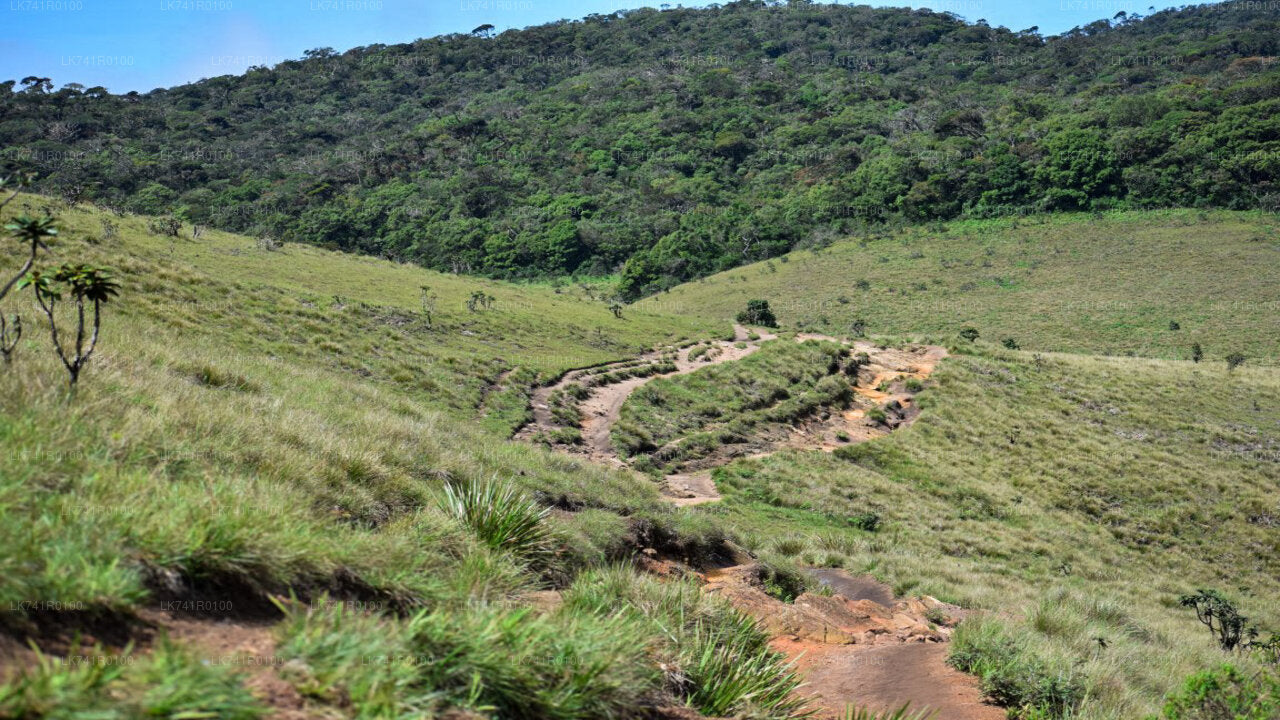 Horton Plains National Park Hike from Nuwara Eliya