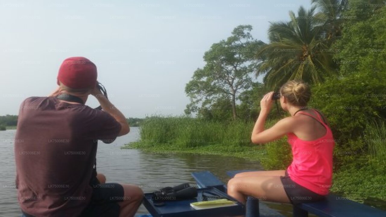 Birdwatching by Boat at Kalametiya Sanctuary from Tangalle
