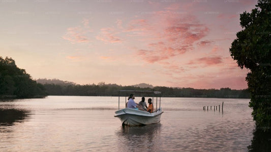 Madol Duwa Island and Mangroves by Boat from Koggala