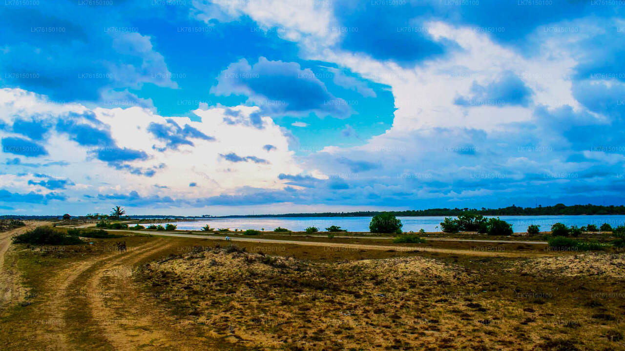 Lagoon Boat Tour from Kalpitiya