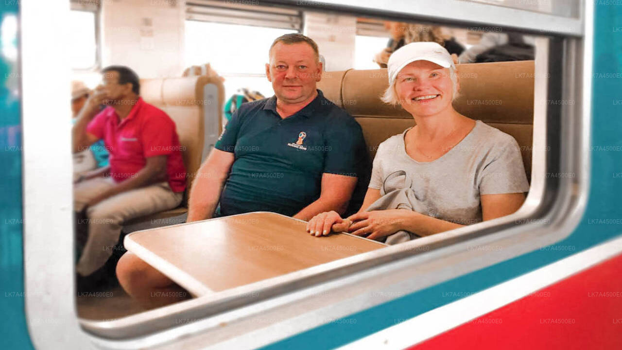 Nanu Oya to Ella train ride on (Train № 1001 "Denuwara Menike")