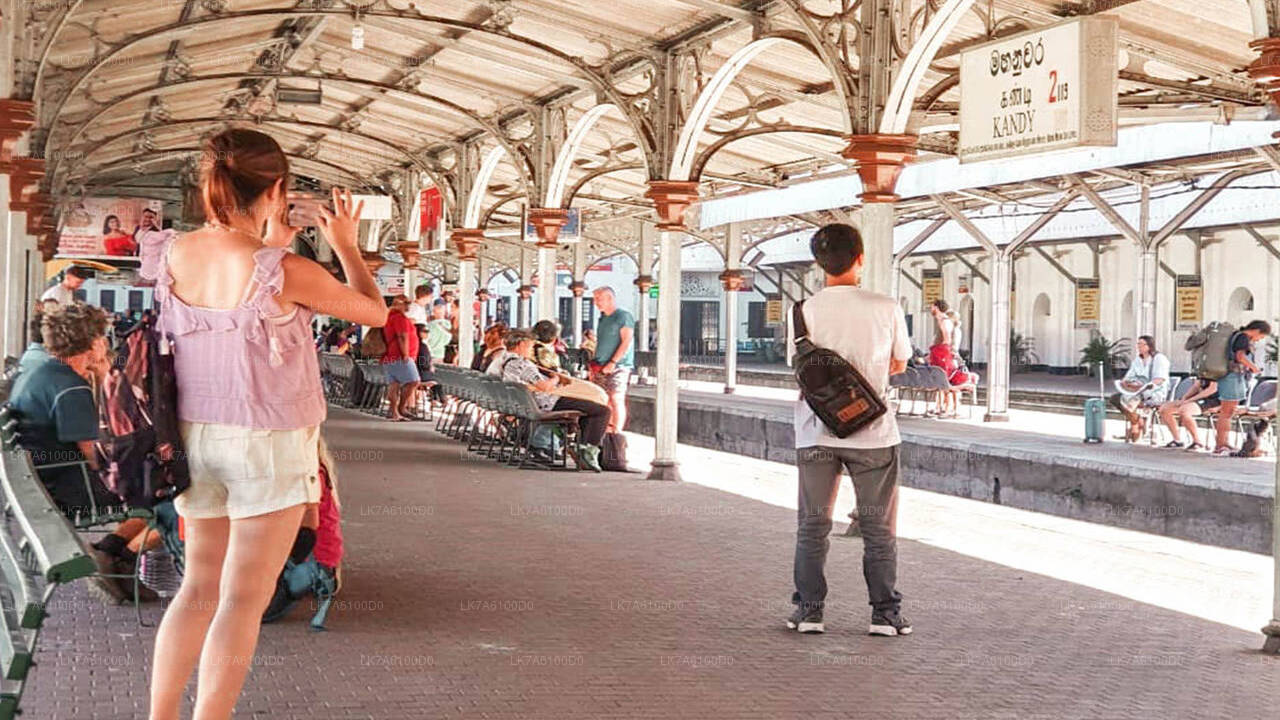 Badulla to Colombo train ride on (Train № 1016 "Udarata Menike")