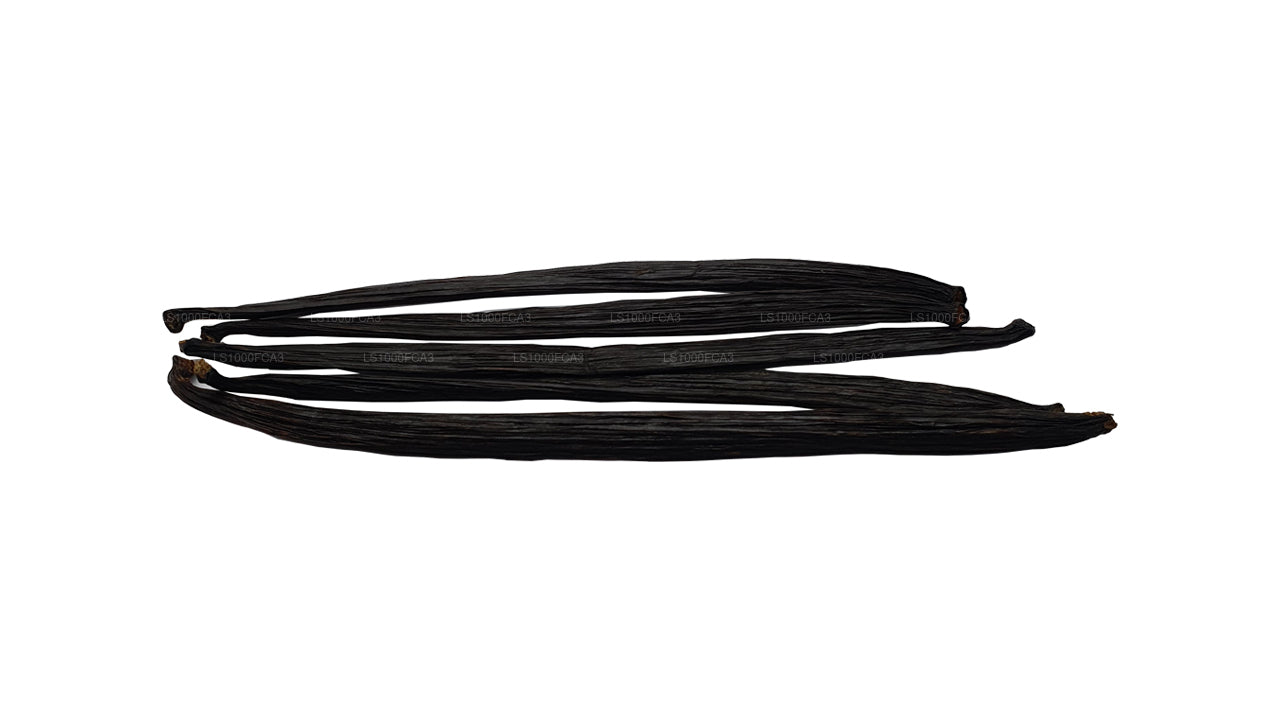 Baccelli di vaniglia naturali di grado «A» Lakpura dello Sri Lanka (Ceylon)