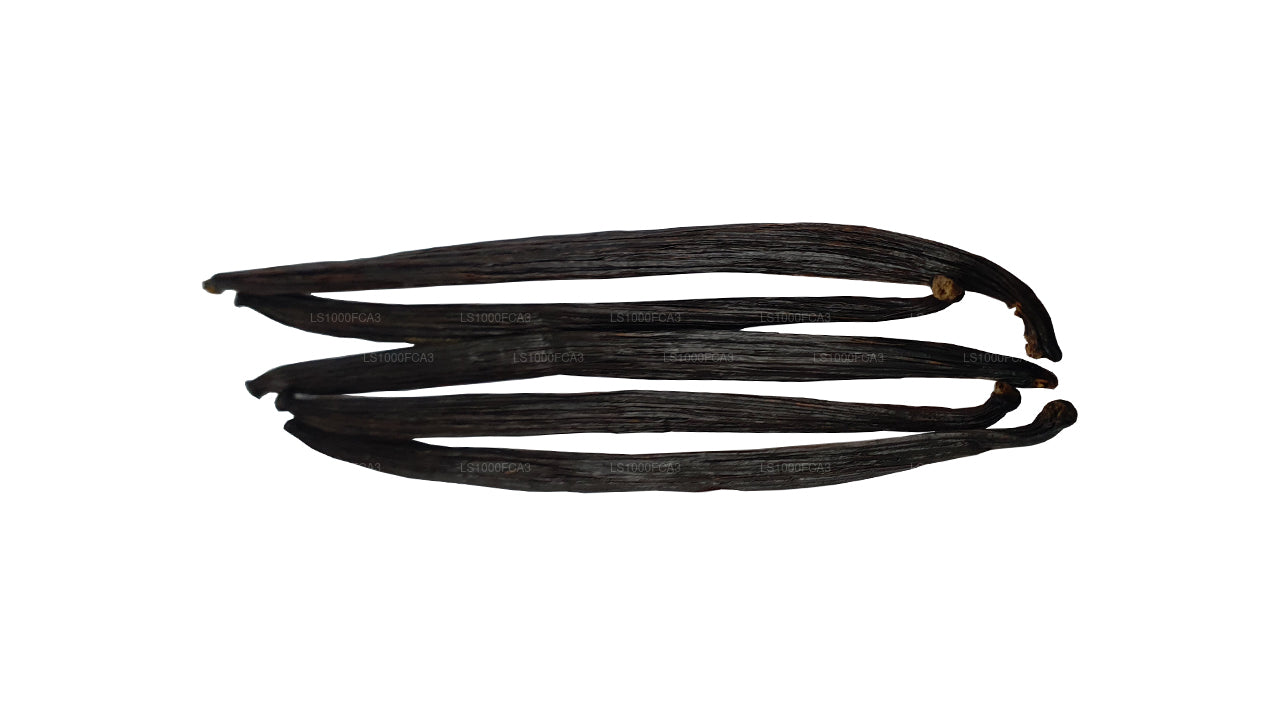 Baccelli di vaniglia naturali di grado «A» Lakpura dello Sri Lanka (Ceylon)