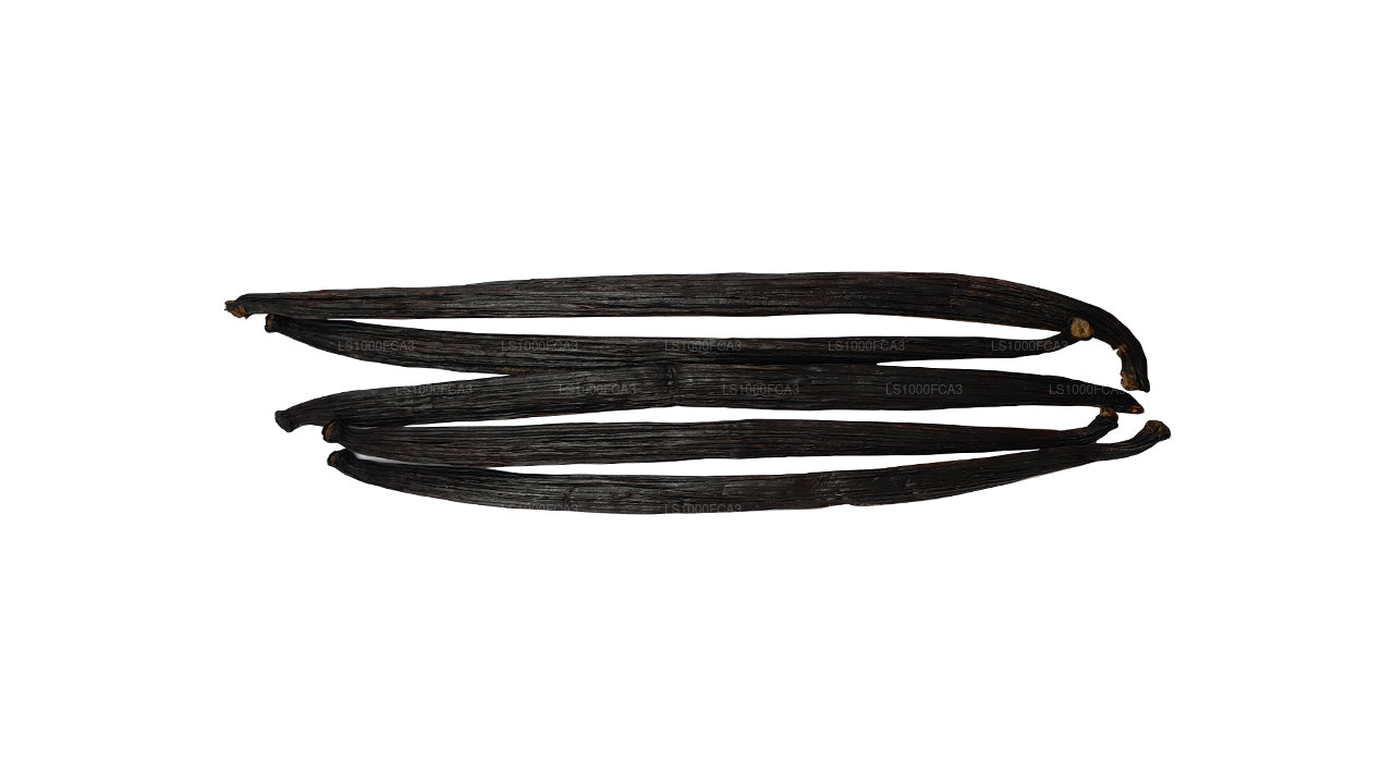 Baccelli di vaniglia naturali di grado «A» Lakpura dello Sri Lanka (Ceylon)